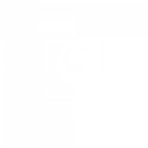 logo-light-Coconino Beers