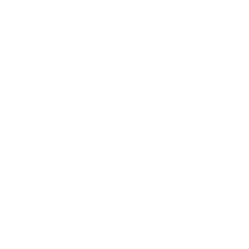 Coconino Beers